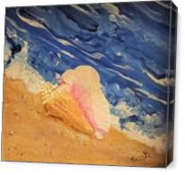 Tybee Island Conch Seashell - Gallery Wrap