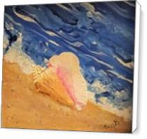 Tybee Island Conch Seashell - Standard Wrap