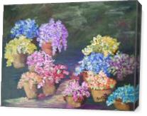 Colorful Flowers With Pots - Gallery Wrap
