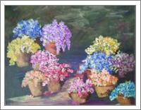 Colorful Flowers With Pots - No-Wrap