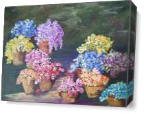Colorful Flowers With Pots As Canvas