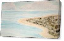 Ocracoke Marsh As Canvas