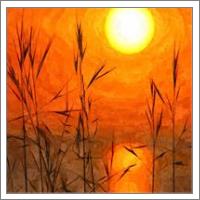 Beautiful Sunrise Oil Painting - Dawn Sunny Day With Weeds And Clear Water - No-Wrap