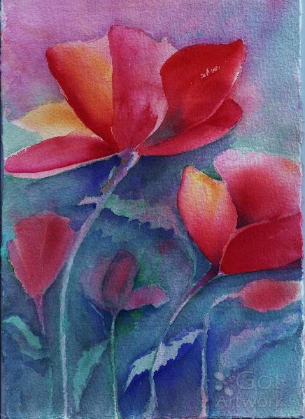 Red Poppy Red Poppy