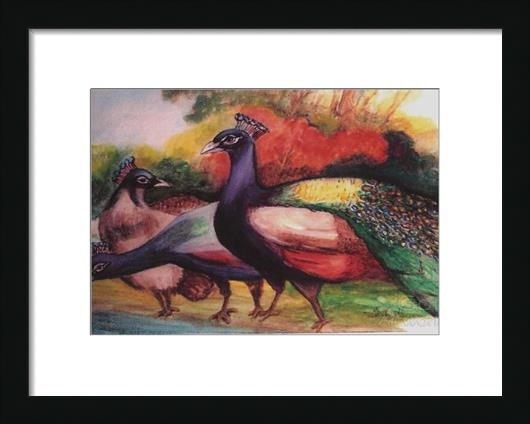 Peacocks Drinking Time Peacocks Drinking Time