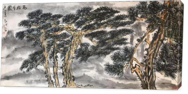 SH 57 Pine Branch Evergreen SH 57 Pine Branch Evergreen