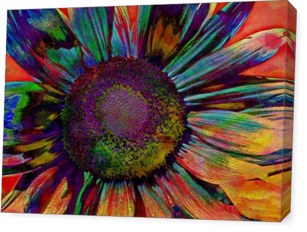 Multicolor Sunflower Abstract