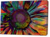 Multicolor Sunflower Abstract - Gallery Wrap