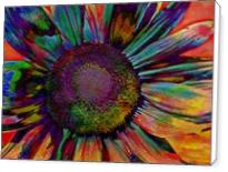 Multicolor Sunflower Abstract - Standard Wrap