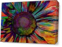 Multicolor Sunflower Abstract As Canvas