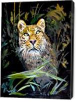 Leopard Is Watching - Gallery Wrap