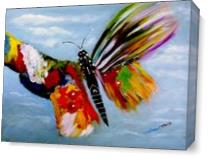 The Happy Butterfly As Canvas