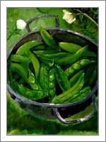 Bowl Of Green Beans - No-Wrap