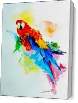 The Parrot As Canvas
