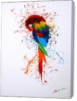 The Colorful Parrot - Gallery Wrap
