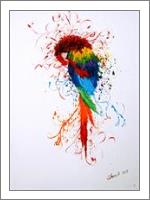 The Colorful Parrot - No-Wrap