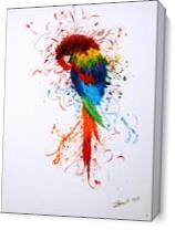 The Colorful Parrot As Canvas