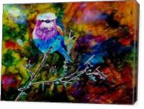 Colourful Bird - Gallery Wrap