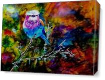 Colourful Bird As Canvas