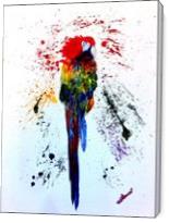 Colourful Parrot - Gallery Wrap