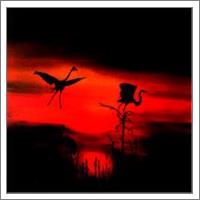 Cranes At Night - No-Wrap