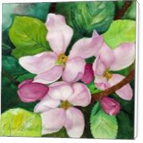 Romantic Apple Blossom Soft Watercolors - Standard Wrap