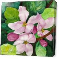 Romantic Apple Blossom Soft Watercolors As Canvas