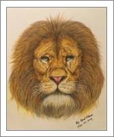 The Regal Lion Roar Of Freedom - No-Wrap