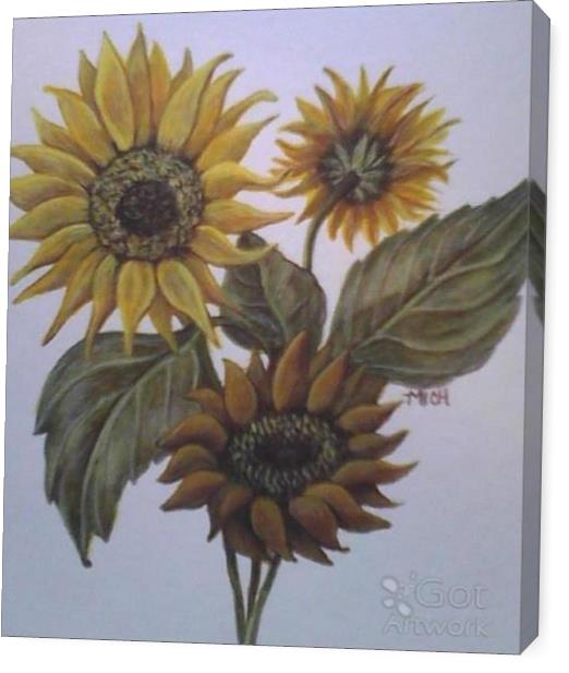 Sunflowers Sunflowers