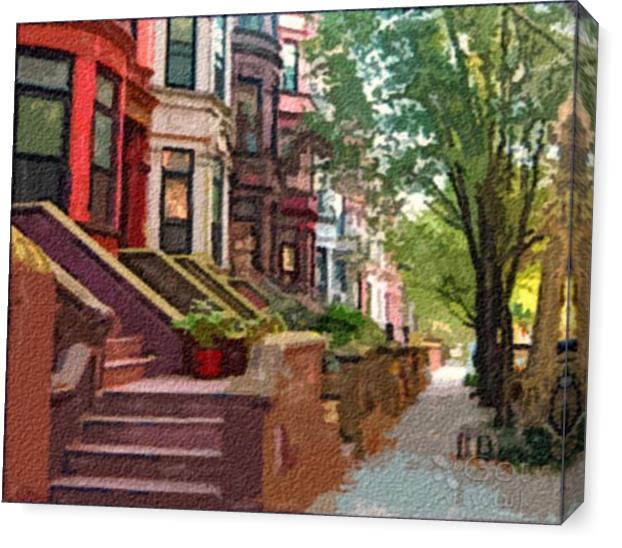 Park Slope Park Slope