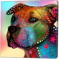 Pit Bull - Gallery Wrap