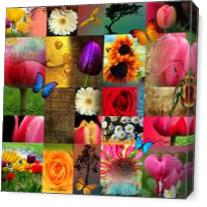 Collage - Gallery Wrap Plus
