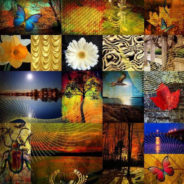 collage-from-the-nature