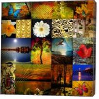 Collage From The Nature - Gallery Wrap