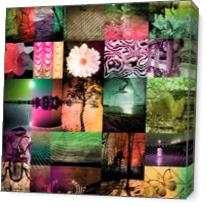 Nature In Colors - Gallery Wrap Plus