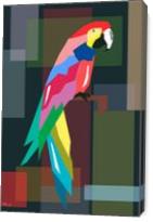 Parrot - Gallery Wrap