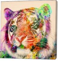 Tiger Face - Gallery Wrap