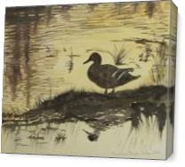 A Lone Duck - Gallery Wrap