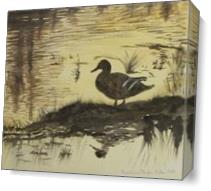 A Lone Duck As Canvas