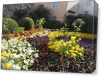 Flowers In Passau As Canvas