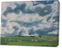 The Sheep On Field - Gallery Wrap