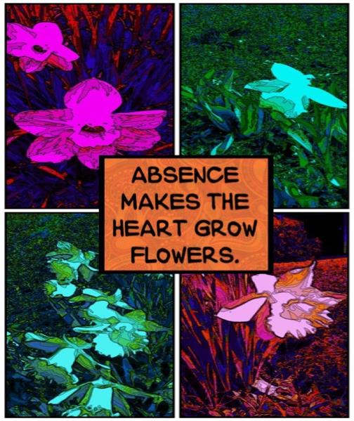 Absence Makes Absence Makes