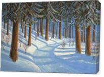Tahoe Forest In Winter - Gallery Wrap