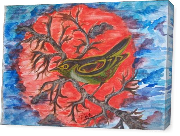 Sunset Bird Calling Sunset Bird Calling