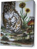 Curisoty Cat - Gallery Wrap Plus