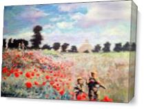 Poppies As Canvas