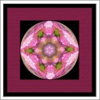 Orb Abstract Squared -1 Pink - No-Wrap