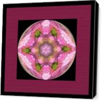 Orb Abstract Squared -1 Pink - Gallery Wrap Plus