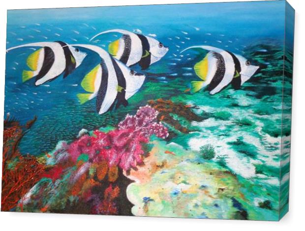 Fishes And Coral Reffs Fishes And Coral Reffs