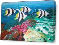 Fishes And Coral Reffs As Canvas